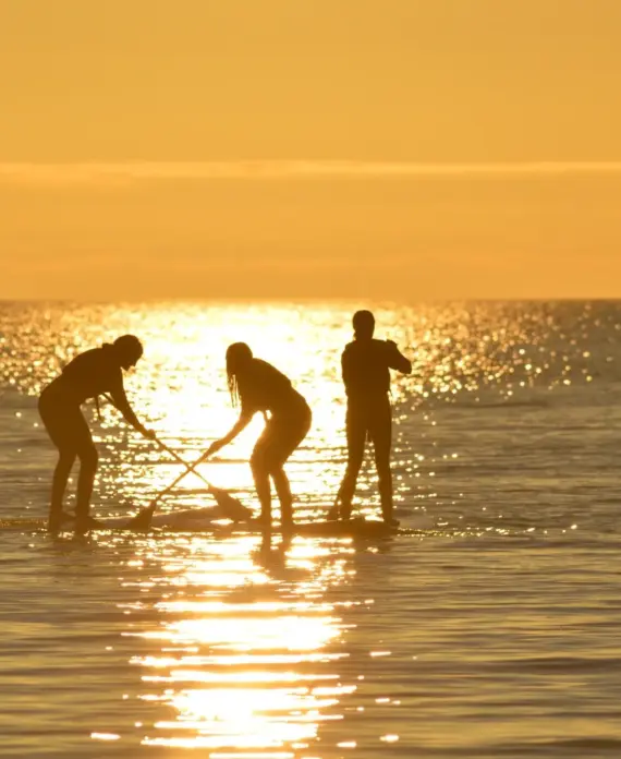 The Surf Shack-SUP-7