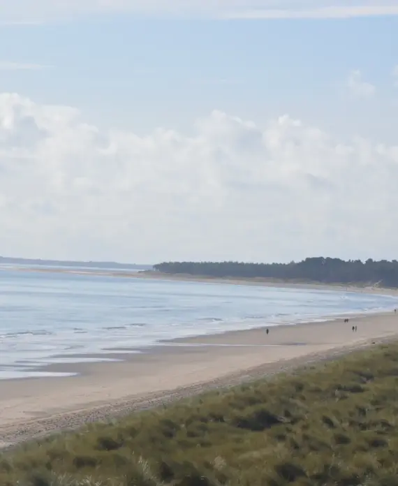 The Surf Shack - Surf Rental - 4